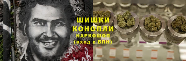 спайс Алексин